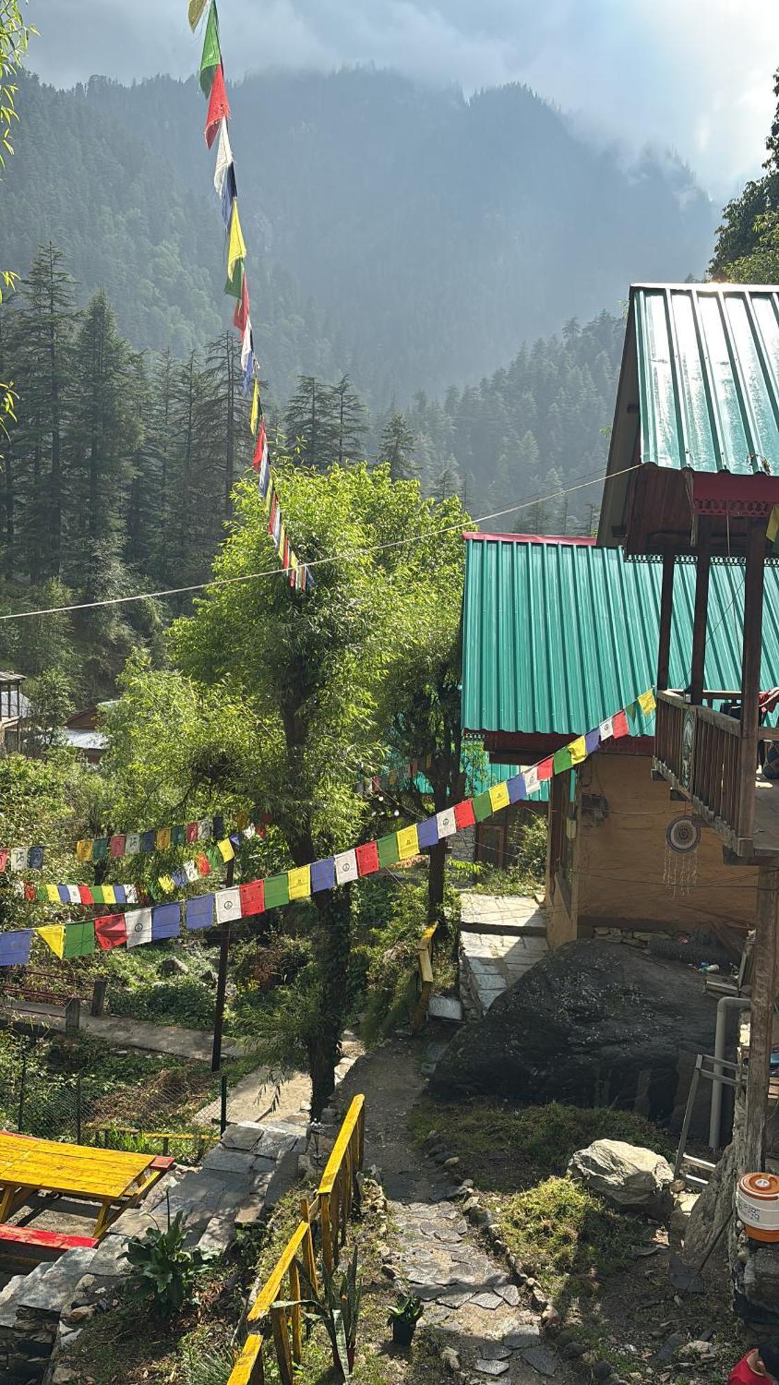 The Cozy Cabin, Jibhi Banjār 外观 照片